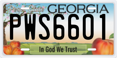 GA license plate PWS6601