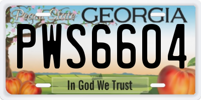 GA license plate PWS6604