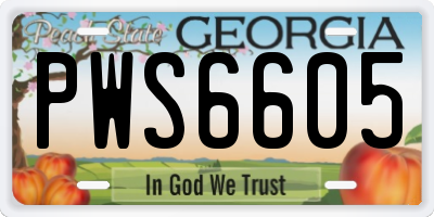 GA license plate PWS6605