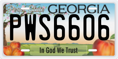 GA license plate PWS6606