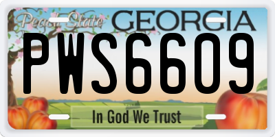 GA license plate PWS6609