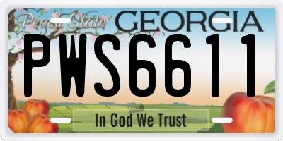 GA license plate PWS6611