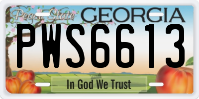GA license plate PWS6613