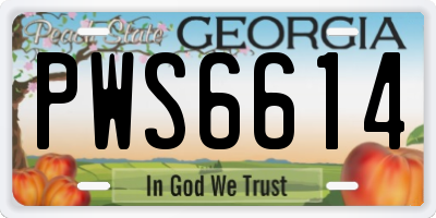 GA license plate PWS6614