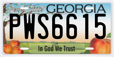 GA license plate PWS6615