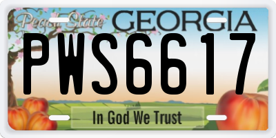 GA license plate PWS6617