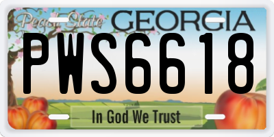 GA license plate PWS6618