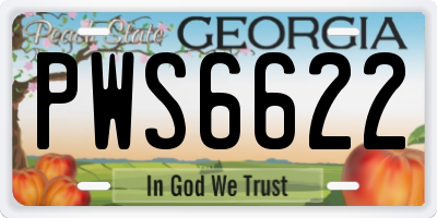 GA license plate PWS6622