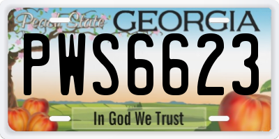 GA license plate PWS6623