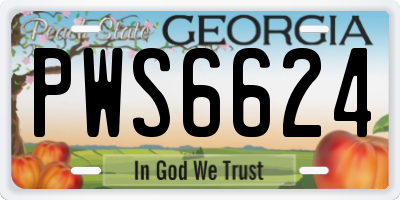GA license plate PWS6624