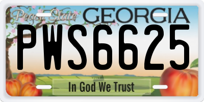 GA license plate PWS6625