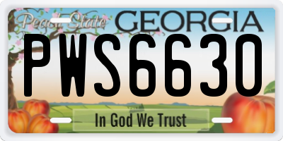 GA license plate PWS6630