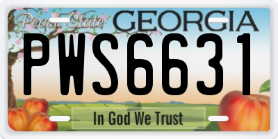 GA license plate PWS6631
