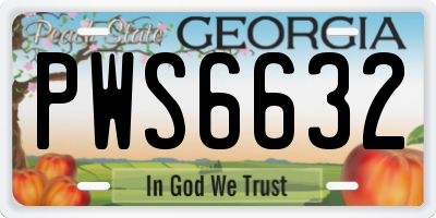 GA license plate PWS6632