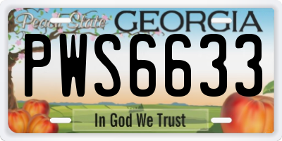 GA license plate PWS6633