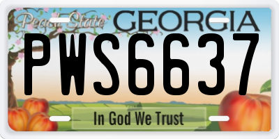 GA license plate PWS6637