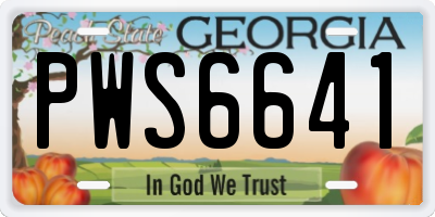 GA license plate PWS6641