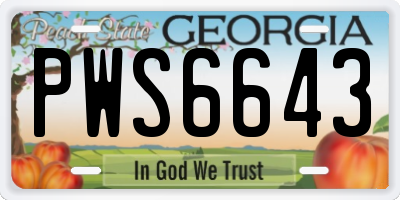 GA license plate PWS6643