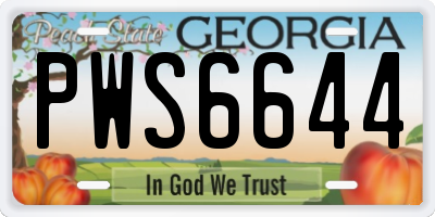 GA license plate PWS6644