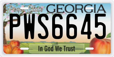 GA license plate PWS6645