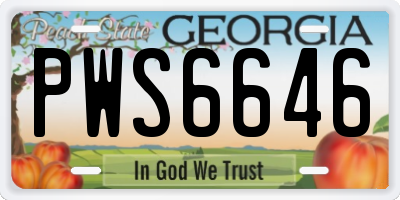 GA license plate PWS6646