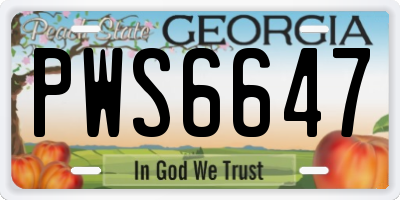 GA license plate PWS6647
