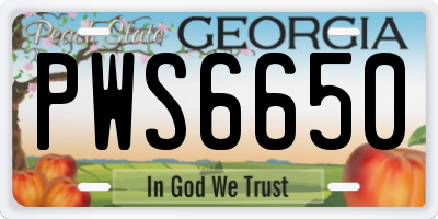 GA license plate PWS6650