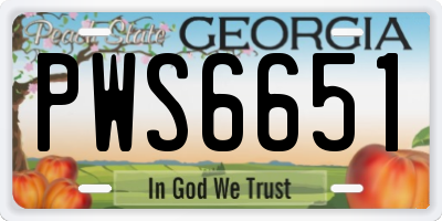 GA license plate PWS6651