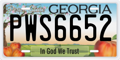 GA license plate PWS6652