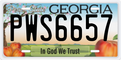 GA license plate PWS6657
