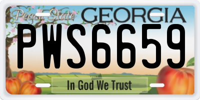 GA license plate PWS6659
