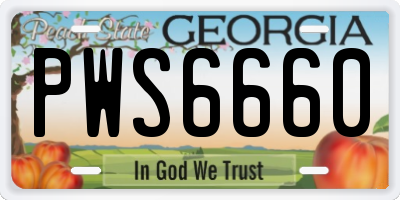GA license plate PWS6660