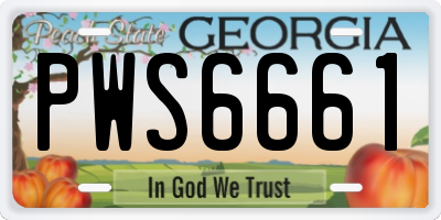 GA license plate PWS6661