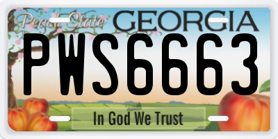 GA license plate PWS6663