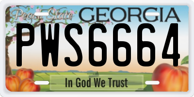 GA license plate PWS6664