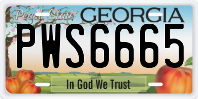 GA license plate PWS6665