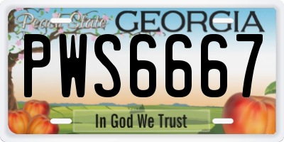 GA license plate PWS6667