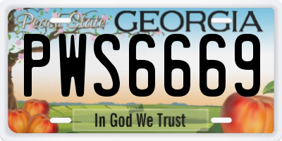 GA license plate PWS6669