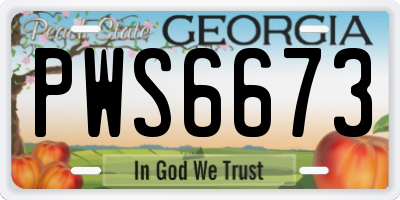 GA license plate PWS6673