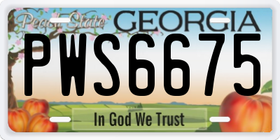 GA license plate PWS6675