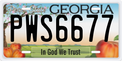 GA license plate PWS6677