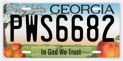 GA license plate PWS6682