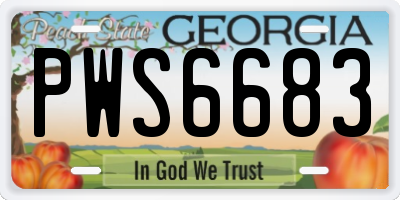 GA license plate PWS6683