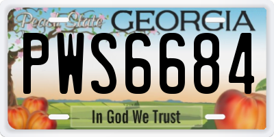 GA license plate PWS6684