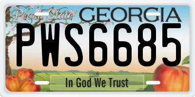 GA license plate PWS6685