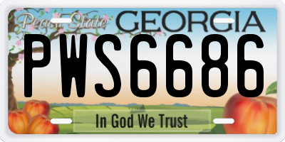 GA license plate PWS6686