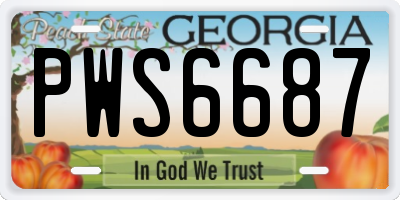 GA license plate PWS6687
