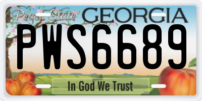 GA license plate PWS6689