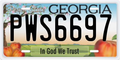 GA license plate PWS6697