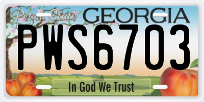GA license plate PWS6703